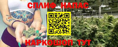 гидра Кулебаки