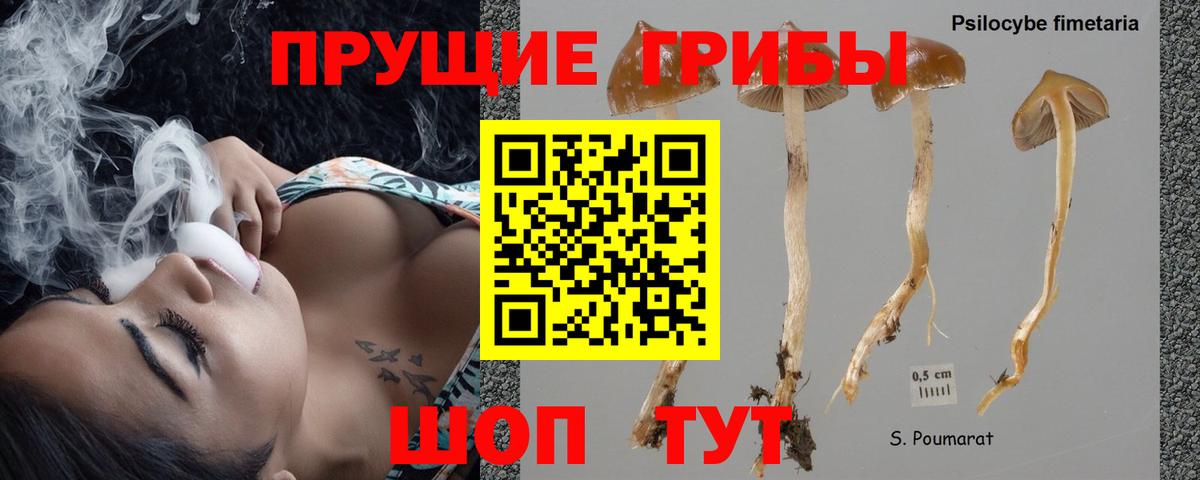 Галлюциногенные грибы прущие грибы  Галлюциногенные грибы Magic Shrooms  Вход с VPN  Карабулак 